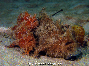 Two males to one female, Crash Boat, Aguadilla, PR. by Abimael Márquez 